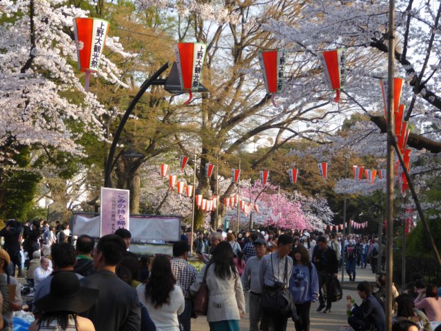 hanamiinuenopark2.jpg